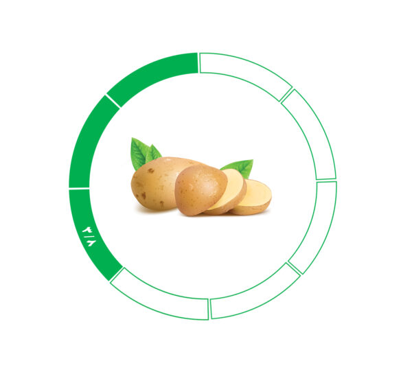 سیب زمینی صادراتی 3/8 سیب زمینی صادراتی 3/8