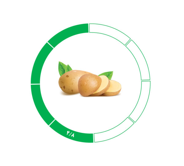 سیب زمینی 4/8 سیب زمینی 4/8
