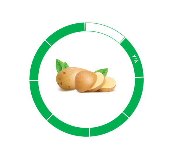 سیب زمینی 7/8 سیب زمینی 7/8