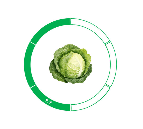 کلم 3/6 کلم 3/6