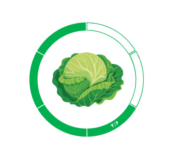 کلم 4/6 کلم 4/6