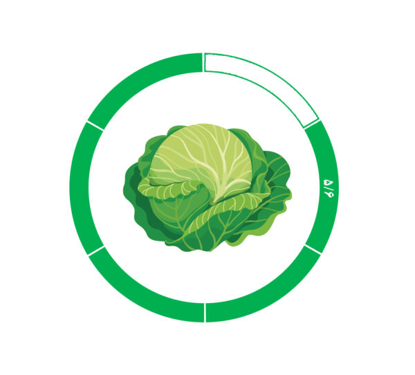 کلم 5/6 کلم 5/6