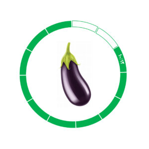 بادمجان 10/12