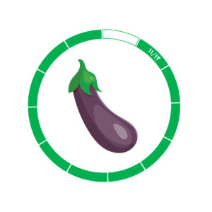 بادمجان 11/12