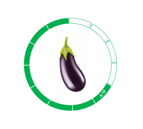 بادمجان 8/12 بادمجان 8/12