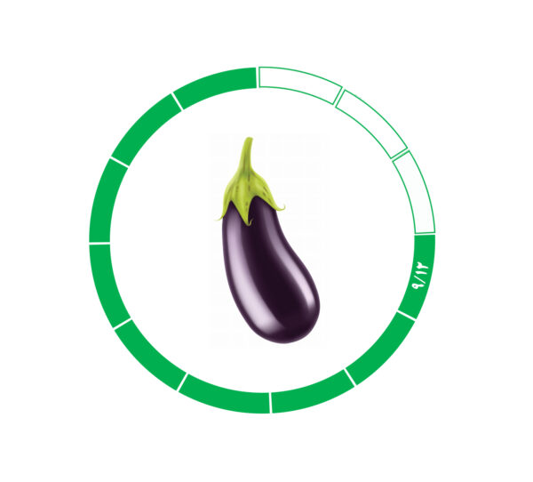 بادمجان 9/12 بادمجان 9/12