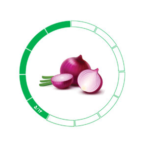 پیاز صادراتی 5/12