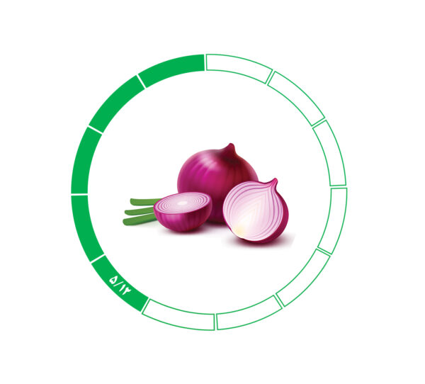 پیاز صادراتی 5/12