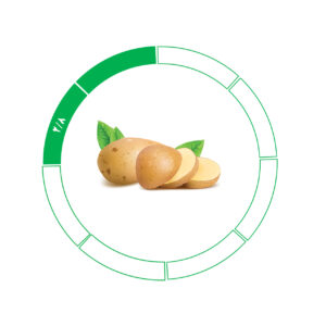 سیب زمینی صادراتی 2/8