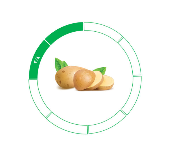 سیب زمینی صادراتی 2/8 سیب زمینی صادراتی 2/8