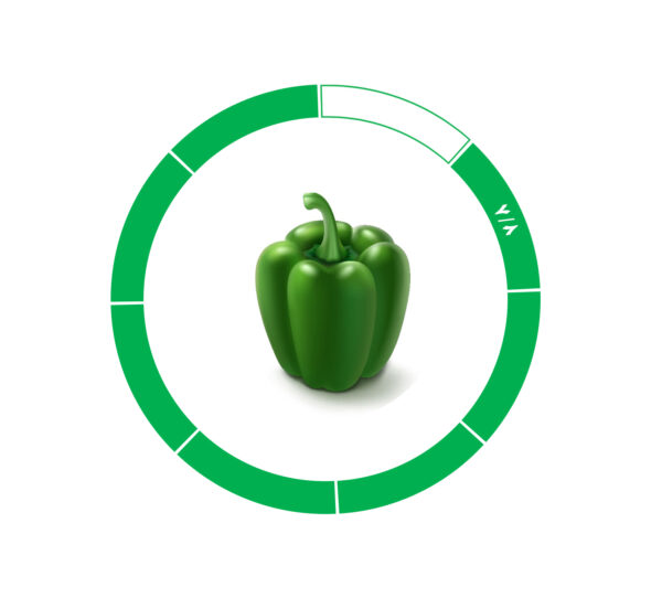 فلفل دلمه 7/8