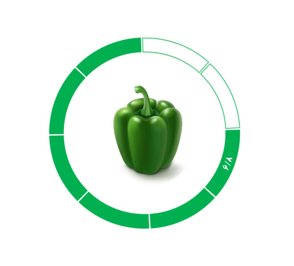 فلفل دلمه 6/8 فلفل دلمه 6/8