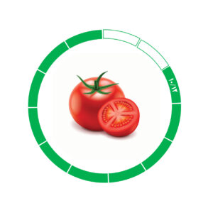 گوجه فرنگی 10/12