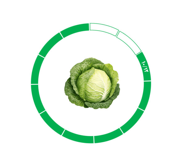 کلم 10/12 کلم 10/12