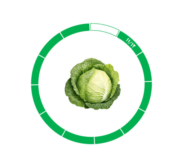 کلم 11/12 کلم 11/12