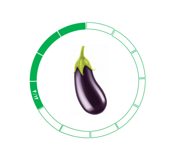 بادمجان 4/12 بادمجان 4/12