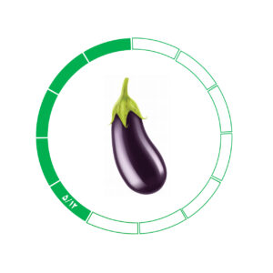 بادمجان 5/12