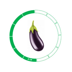 بادمجان 6/12