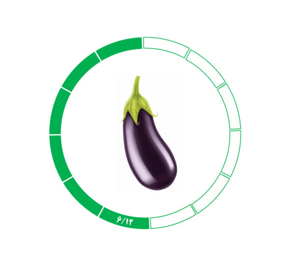 بادمجان 6/12