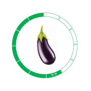 بادمجان 7/12