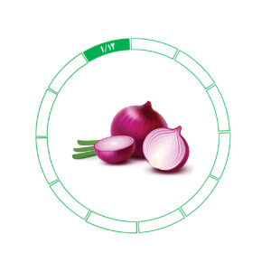 پیاز صادراتی 1/12