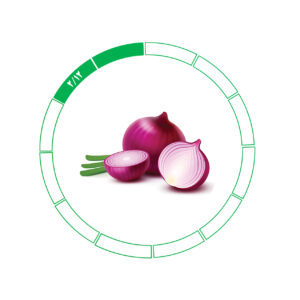 پیاز صادراتی 2/12