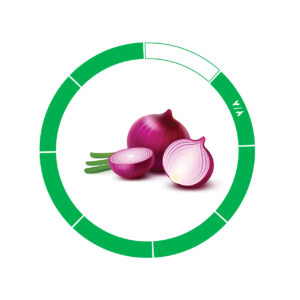 پیاز صادراتی 7/8