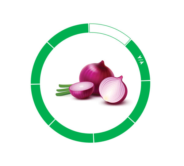 پیاز صادراتی 7/8 پیاز صادراتی 7/8