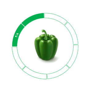 فلفل دلمه 2/8