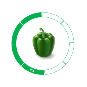 فلفل دلمه 4/8