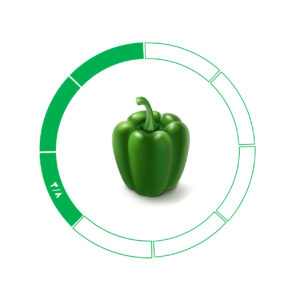فلفل دلمه 3/8