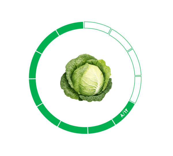 کلم 8/12 کلم 8/12