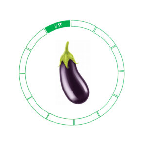 بادمجان 1/12