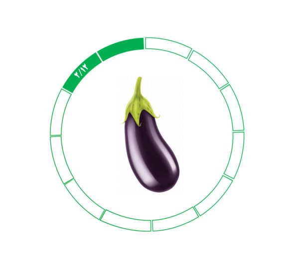 بادمجان 2/12