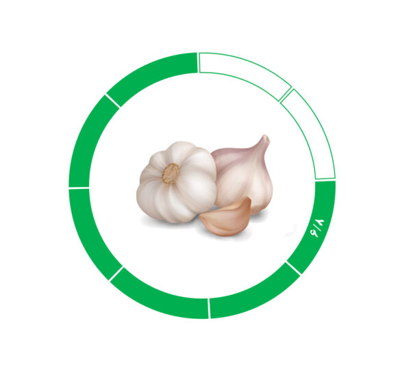 سیر 6/8 سیر 6/8