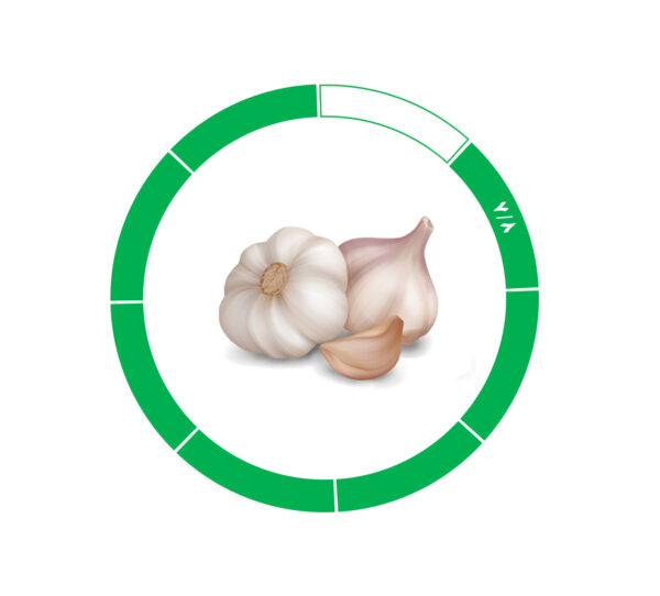 سیر 8/8 سیر 8/8