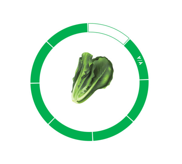 کاهو 7/8 کاهو 7/8