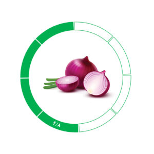 پیاز صادراتی 4/8