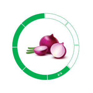 پیاز صادراتی 6/8