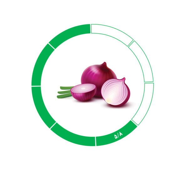 پیاز صادراتی 6/8 پیاز صادراتی 6/8