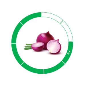 پیاز صادراتی 6/8