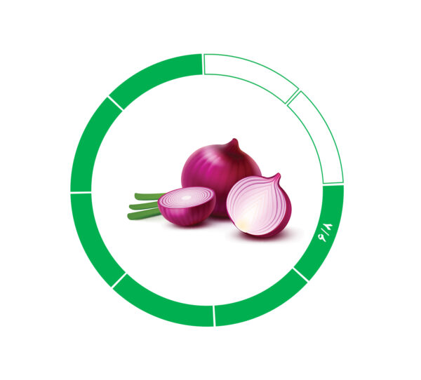onion-6-8 پیاز صادراتی 6/8
