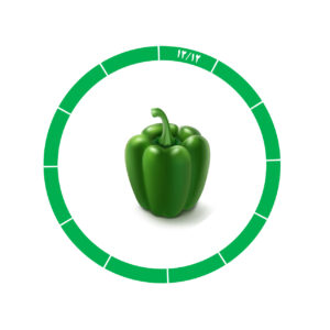 فلفل دلمه 12/12