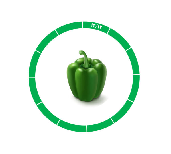 فلفل دلمه 12/12 فلفل دلمه 12/12