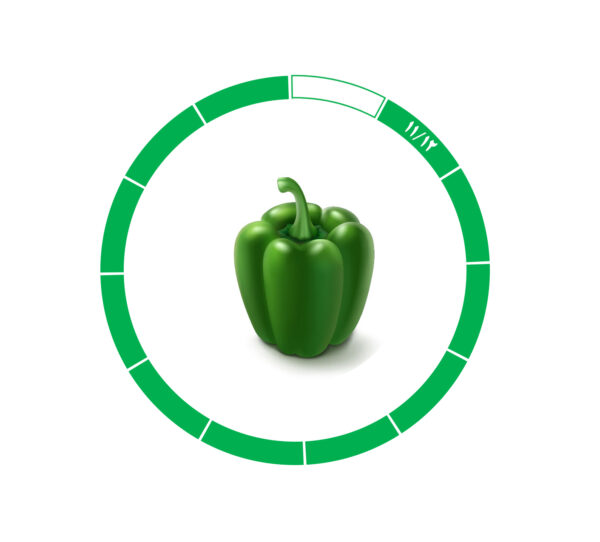 sweetpepper-11-12 فلفل دلمه 11/12