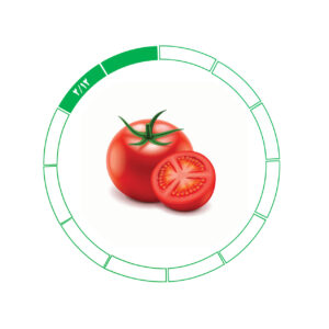گوجه فرنگی 2/12