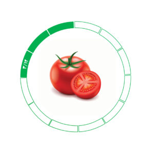 گوجه فرنگی 3/12
