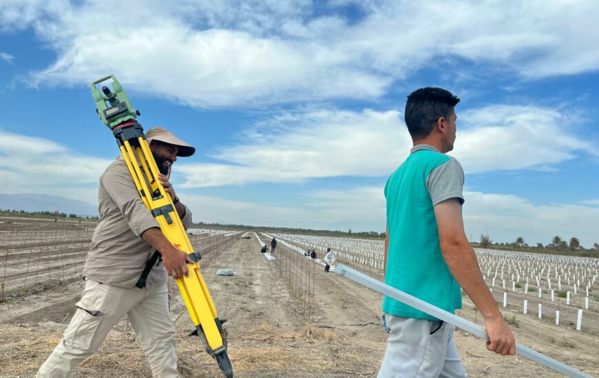 باغ های میوه مدرن، پناهگاهی سبز در برابر تورم