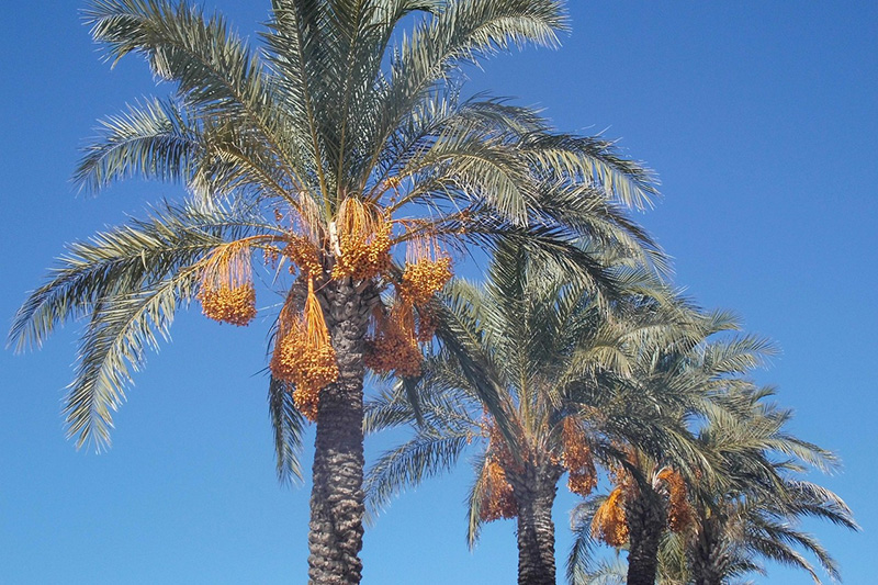 ثبت نام تور اصحاب رسانه