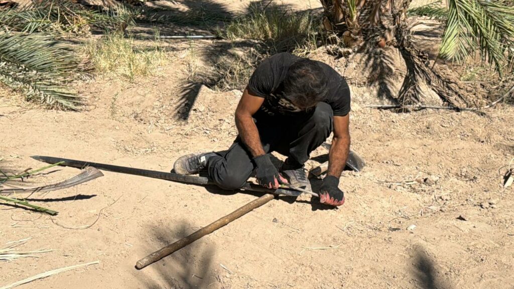 باغ بازار، پلی به سوی کشاورزی پایدار ایرانی و حمایت از خانوادههای بومی